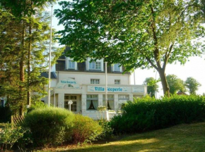 Villa-Seeperle-Zwergtaucher